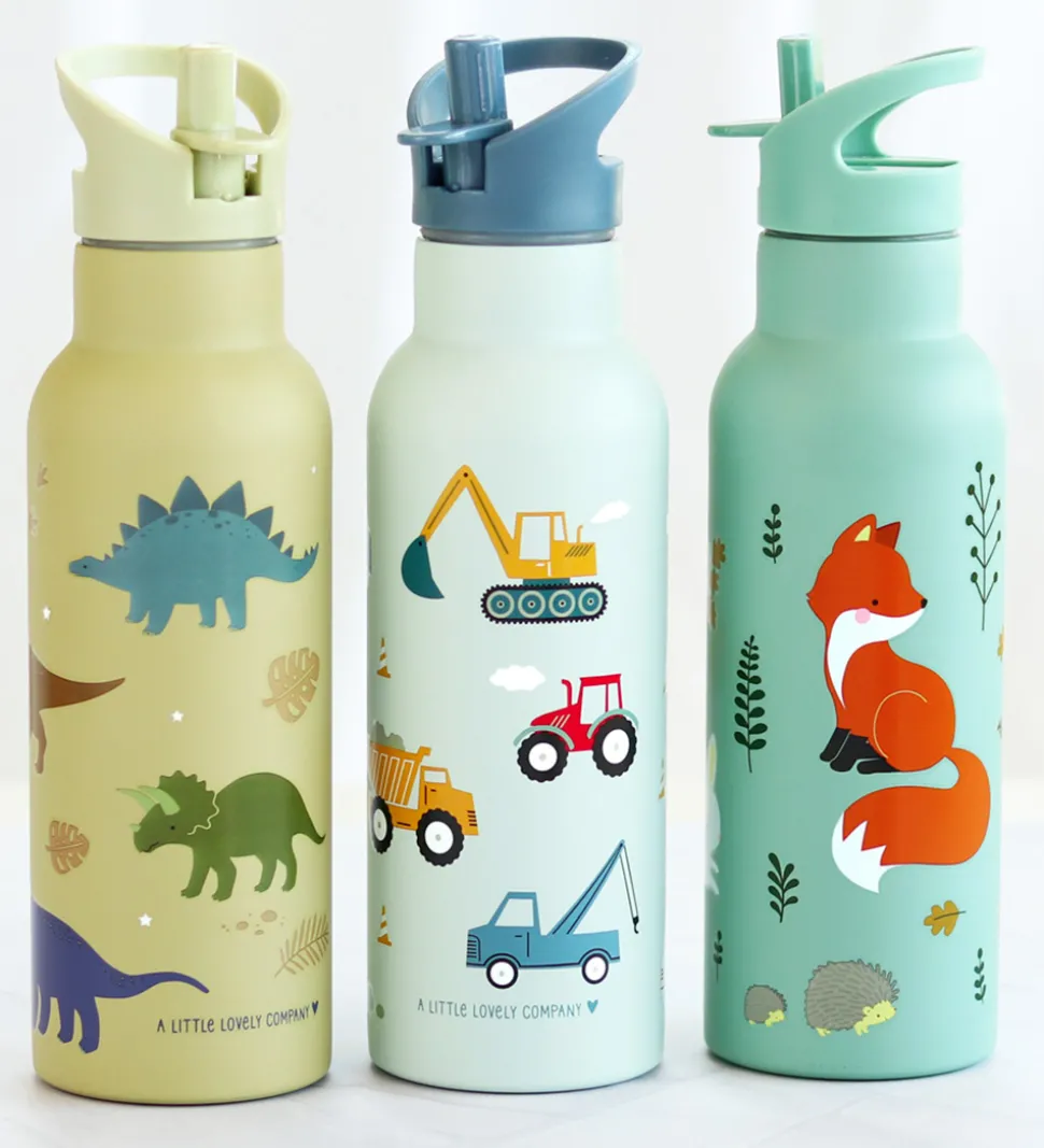 A Little Lovely Company Drikkedunk - 500 ml - Dinosaur