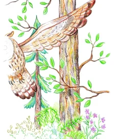 Staedtler Farveblyanter - Super Soft - 24 stk